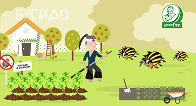 Имиджевый ролик